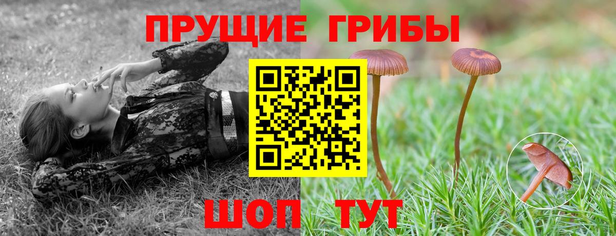 Орехово-Зуево  Псилоцибиновые грибы MAGIC MUSHROOMS  Галлюциногенные грибы Cubensis  Вход с VPN 